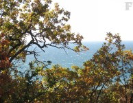 Черное море