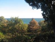 Черное море