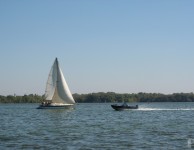 Регата