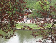 Умань. Дендропарк Софиевка