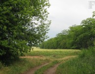Тропа