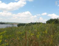 Хортица