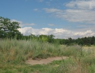 Хортица