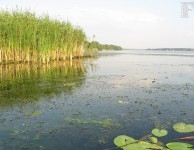 Плавни