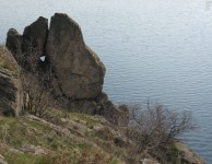 Хортица