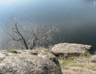 hort2009_06