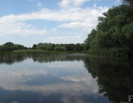 Плавни