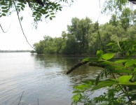 Плавни