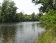 Плавни