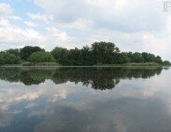 Плавни