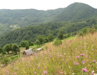Пейзажі Рахова і околиць